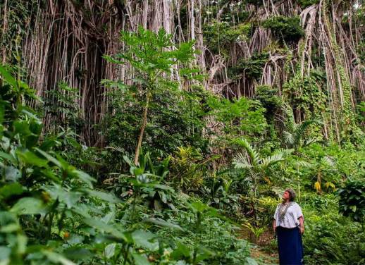 tourism of samoa