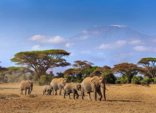 kilimanjaro hiking trip