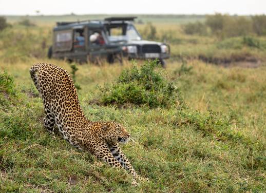 kenya tourism facts