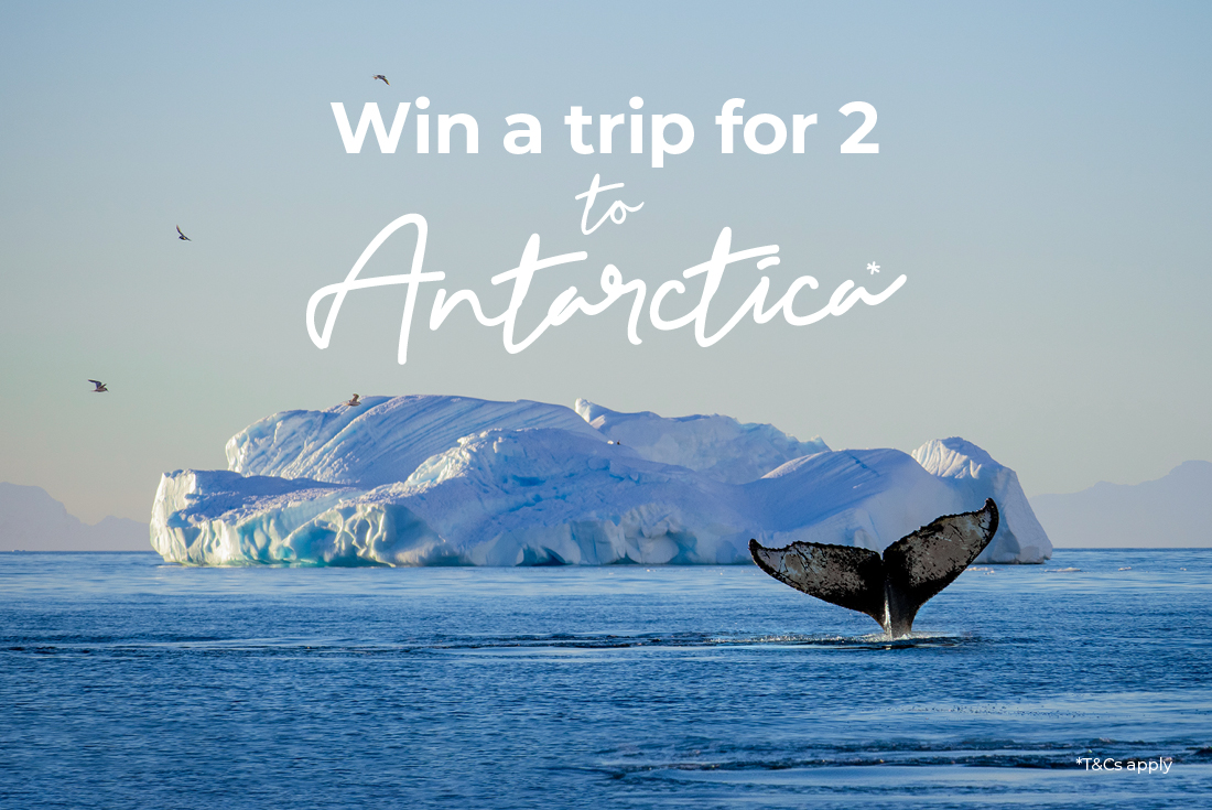 intrepid travel win a trip to antarctica