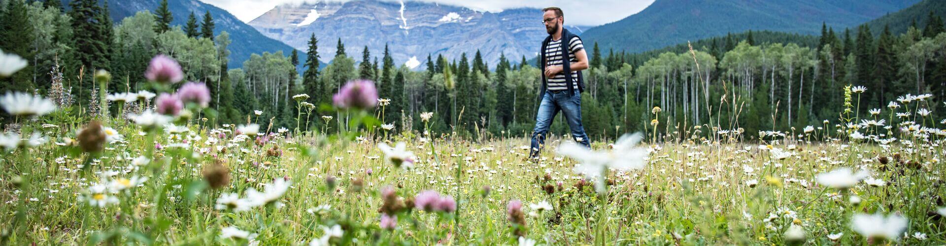 A hiker moving through wildflowers in Mount Robson Park, Canada