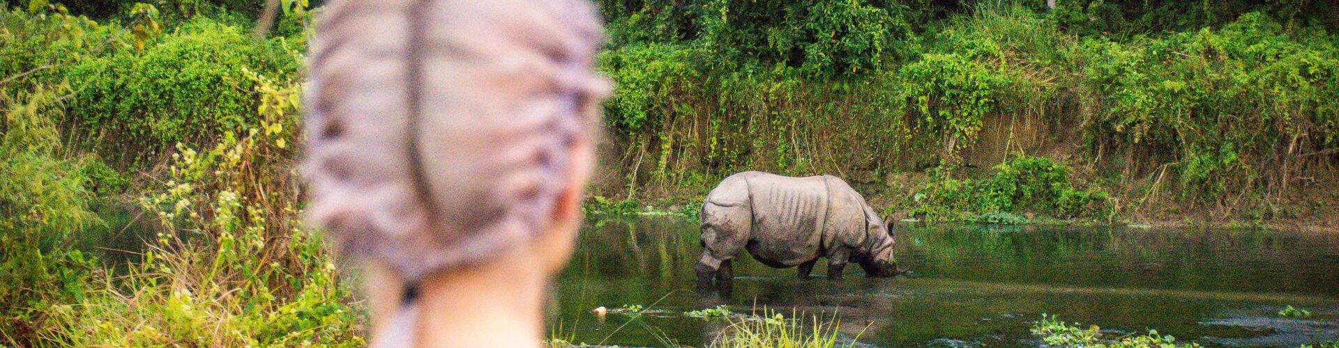 A traveller watching a rhino drinking water in Chitwam National Park