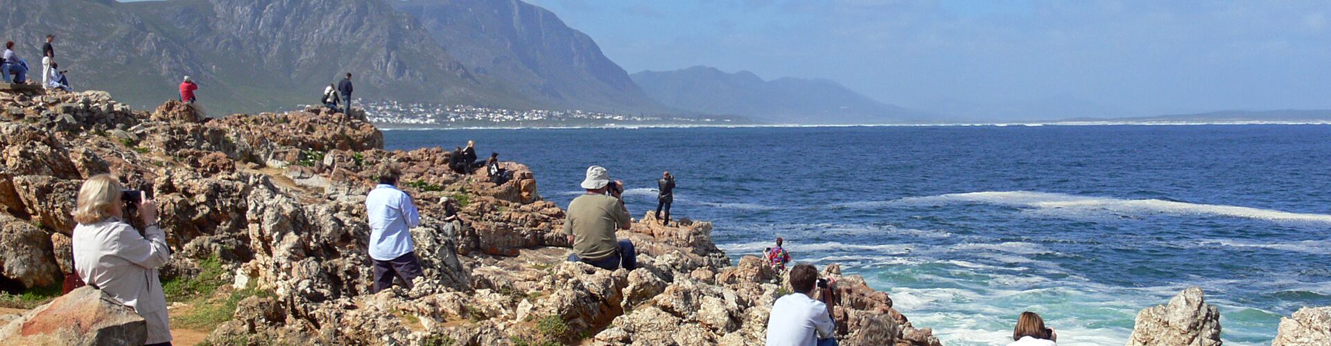 People whale watching on the cliff paths on the coast of Hermanus, South Africa
