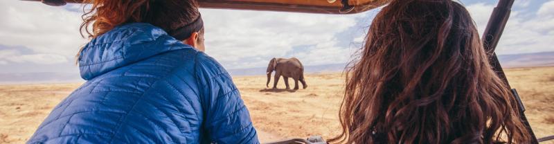 Two woman looking out of a jeep at an elephant on safari in Tanzania