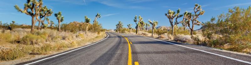 Joshua Tree National Park, California, USA