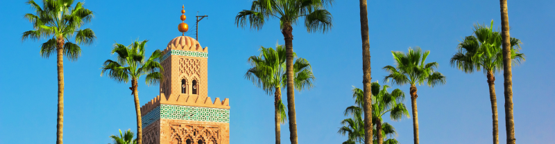 Palm trees and a tower in Marrakech
