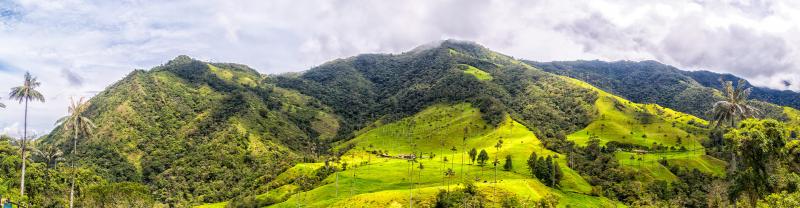 Cocora Valley Mountains, Colombia