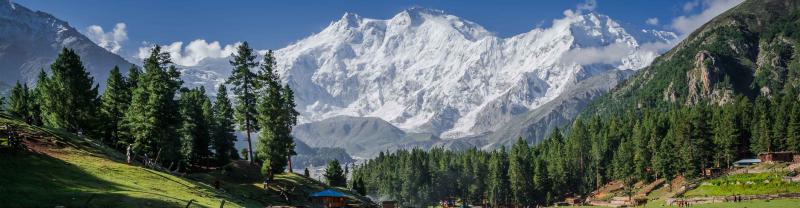 Snow capped mountains of Nanga Parbat surrounded by green valley