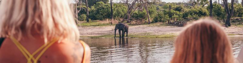 Two travellers look at an elephant across the river in Botswana