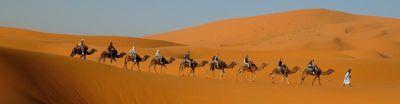 Peregrine Adventures morocco desert dunes camels row