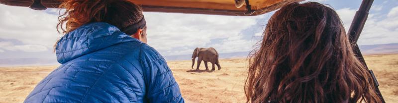 YGPT - Pax elephant watching while on safari in Serengeti NP