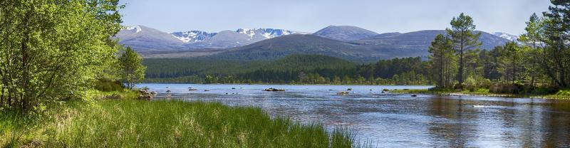 A scenic view of Loch Morlich in the Scottish Highlands