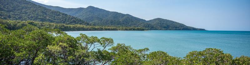 Cape Tribulation on a sunny day in the Daintree Rainforest. 