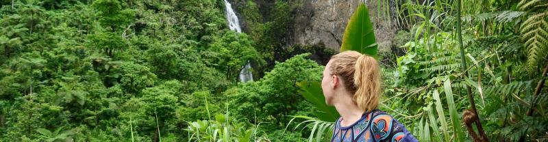 A traveller admiring a waterfall in Fiji