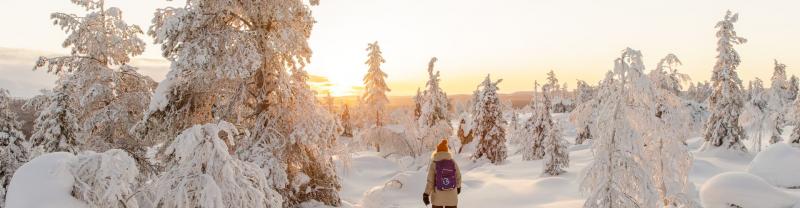 A traveller hiking through snow in Kuertunturi, Finland