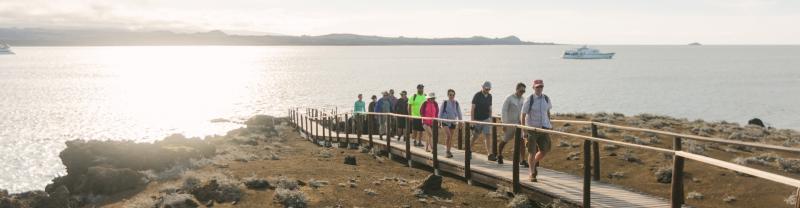 A group of travellers walking single file along a boardwalk on the Galapagos Islands