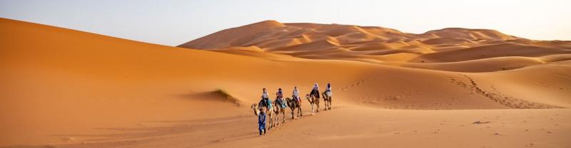 A camel ride through the Sahara Desert
