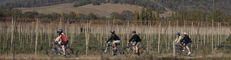 A group of cyclists winding through the Victorian High Country with helmets on