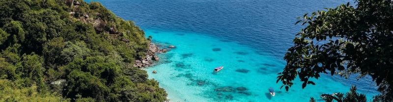 Blue waters and palm trees of Ko Similan Beach