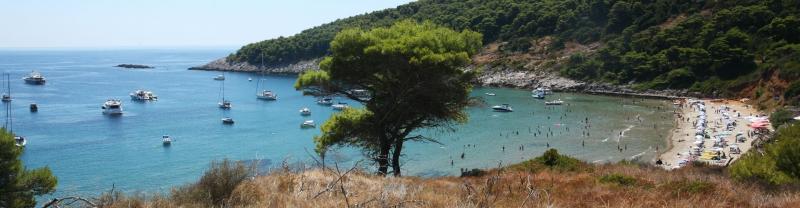 One of the bays on the coastline of Croatia with sparkling blue water and lush vegetation. 
