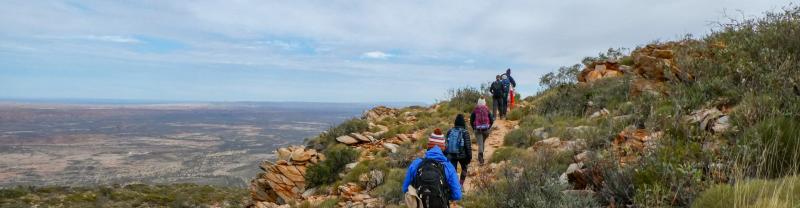 A group of travellers hiking along the rugged terrain of the Larapinta Trail in the Northern Territory