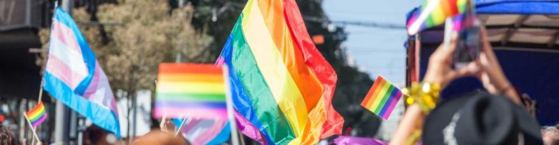 LGBTQIA flags being waved in street