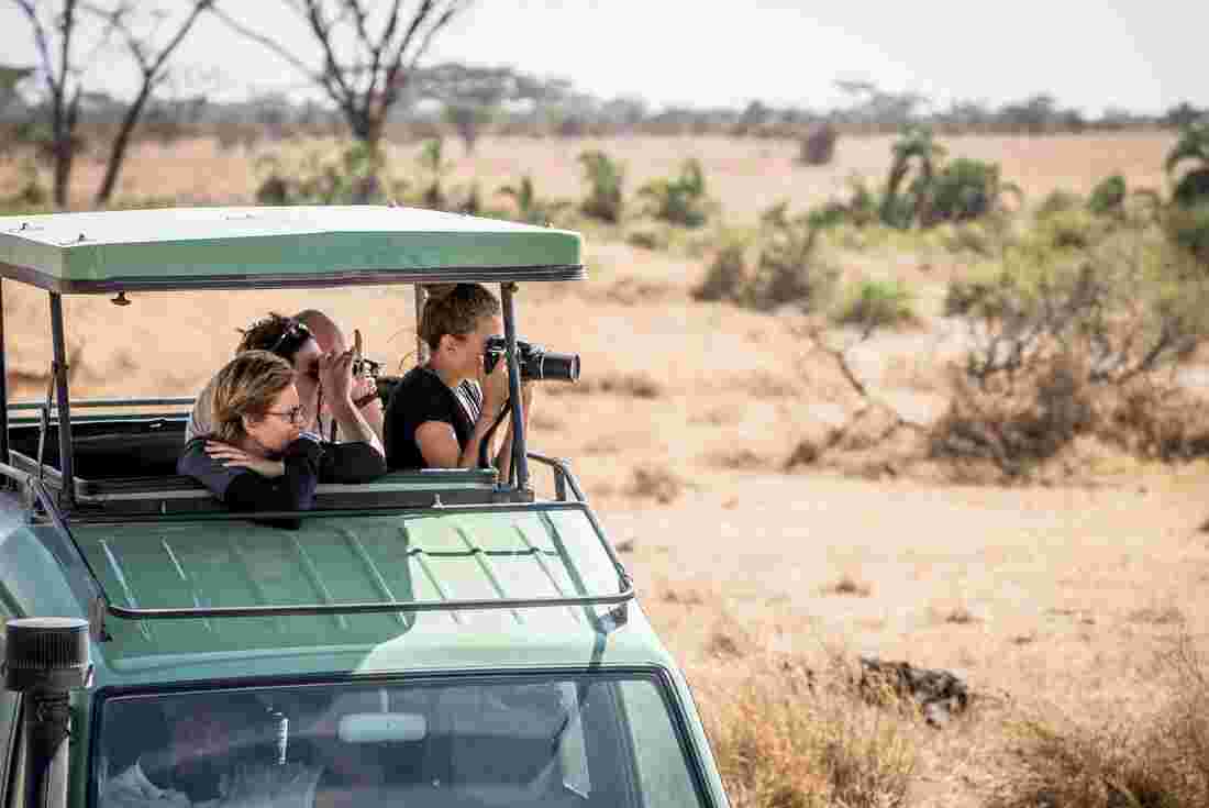 Travellers in an Overland vehicle taking photos on the Serengeti