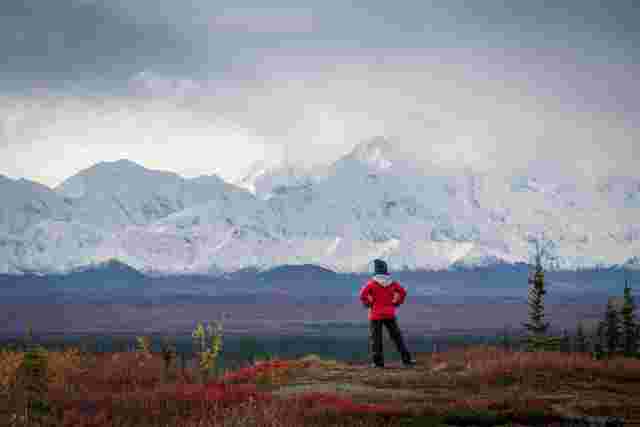 Things to do in Denali National Park: best attractions and tours