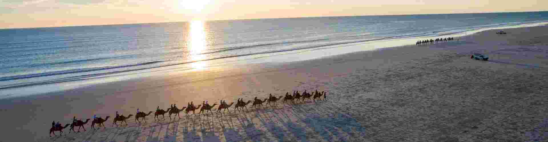 Camels walking in a line across the beach at sunset in Broome