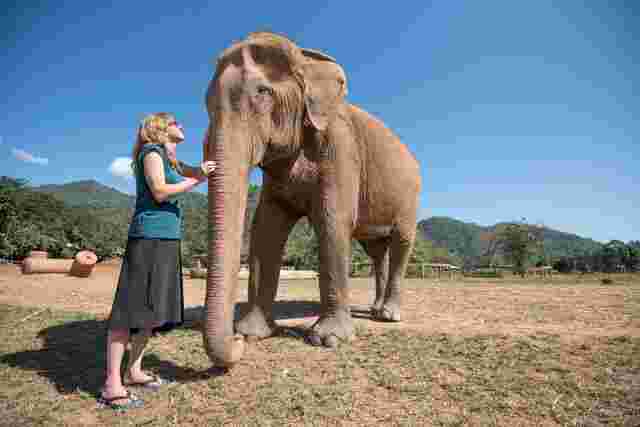 A woman standing next to an elephant in Thailand. 