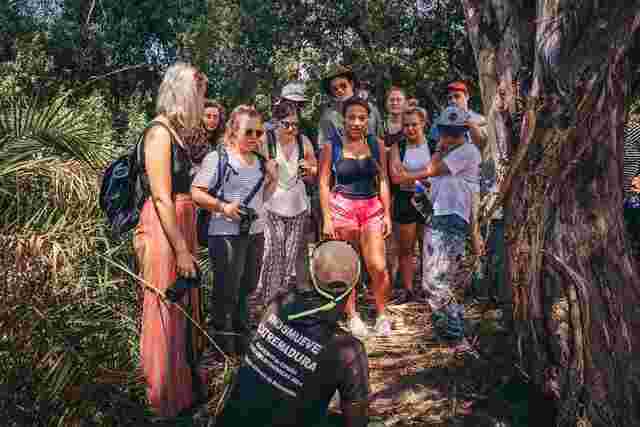 A group of travelers on a morning bush walk with a local guide in the the Okavango Delta