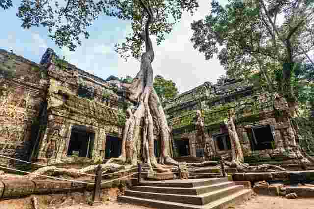 The ruins of Ta Prohm Temple in Cambodia