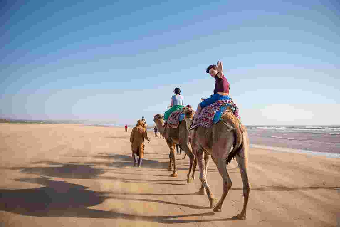Camel ride in Essaouira, Morocco