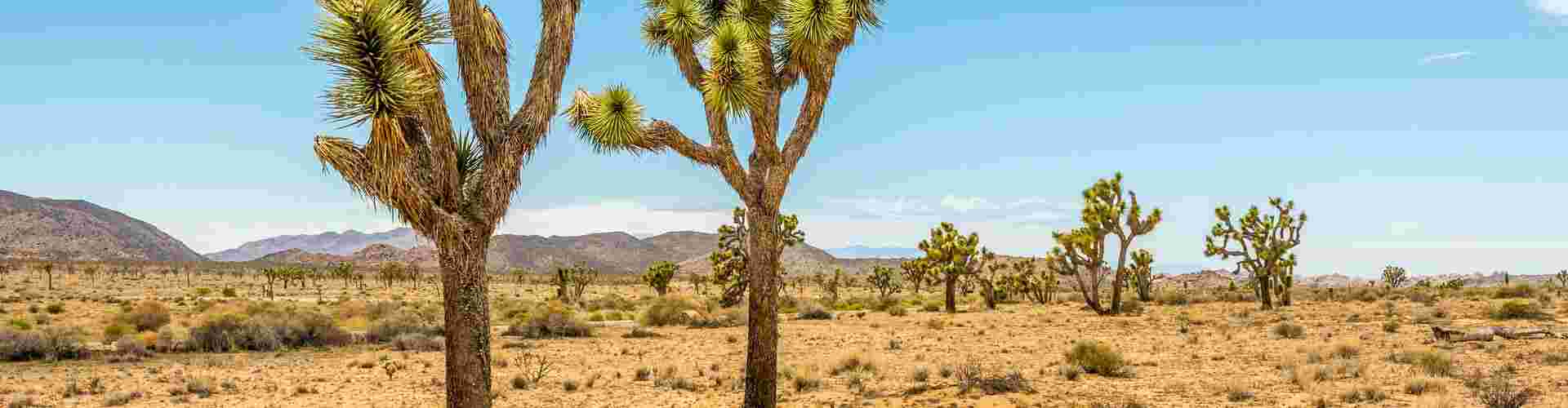 The landscapes of Joshua Tree National Park
