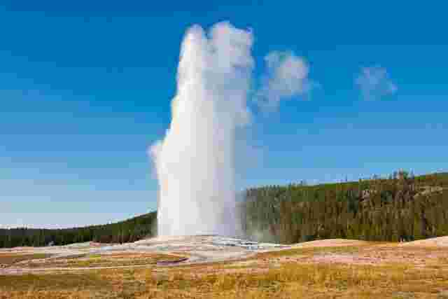 The most geyser in Yellowstone NP, Old Faithful erupting water into the air