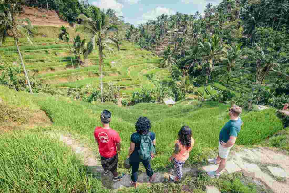 Travelers visiting Ubud's famous rice terraces