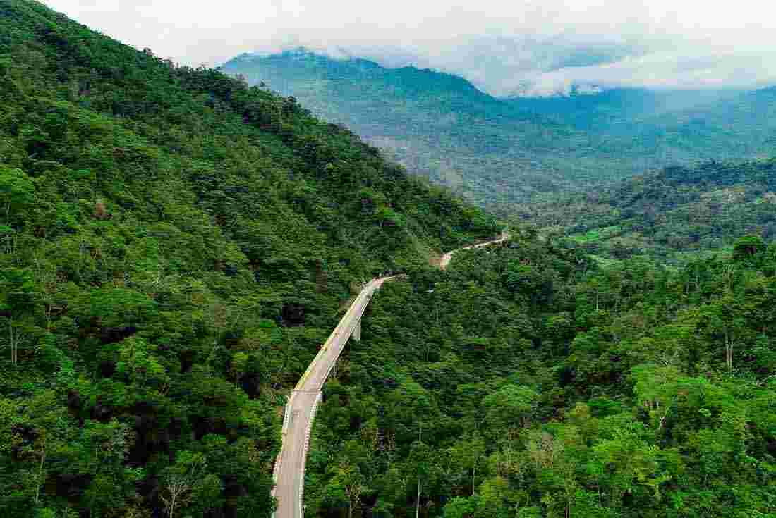 Green jungle surround the Colombian mountain roads