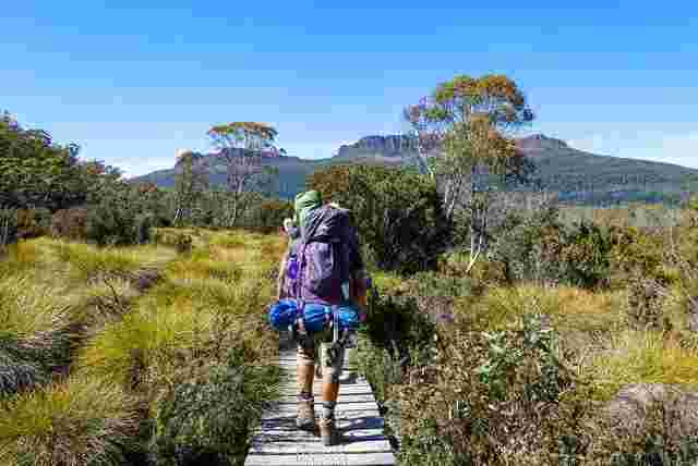 Traveller walking on the Cradle Mountain Overland Track on a sunny, blue day. 
