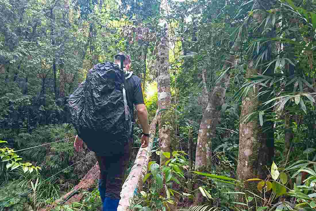 Trekking the Maliau basin in Sabah, Borneo