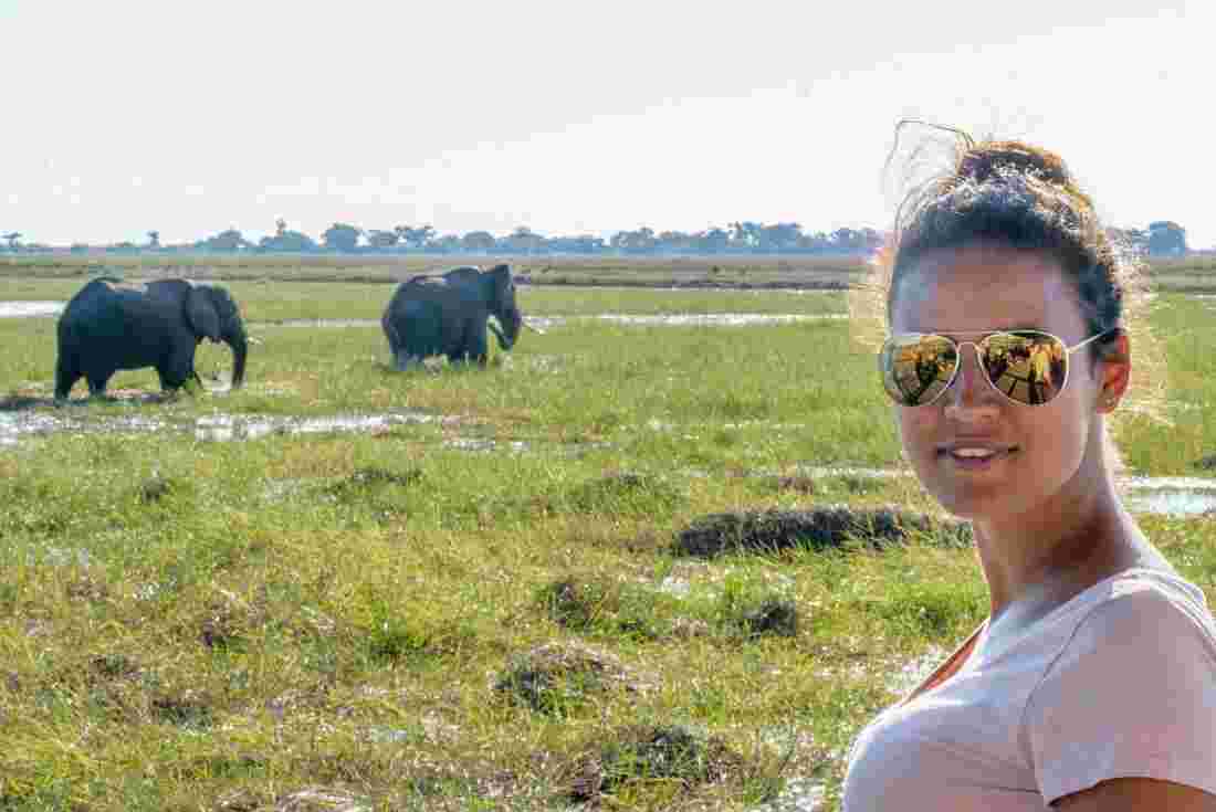 Get an up close view of elephants in Chobe National Park