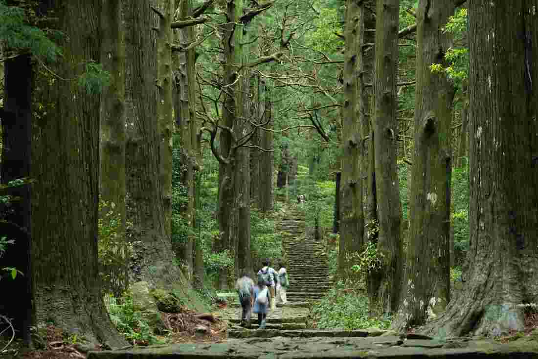 Travellers embark on the Kamuno Kaido forest trail hike