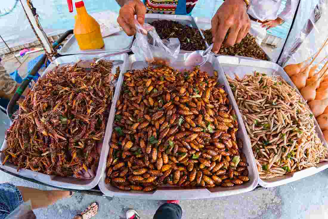 thailand-street-food-insects.jpg