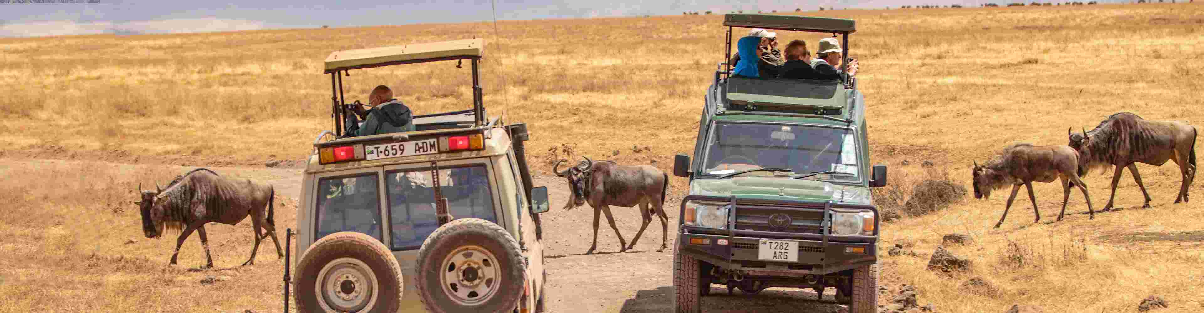intrepid travel africa safari