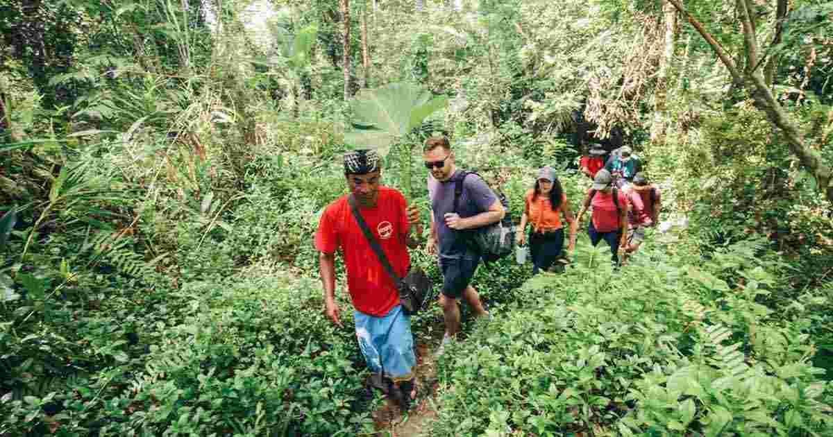 Group of travelers and their leader hike through Sideman jungle