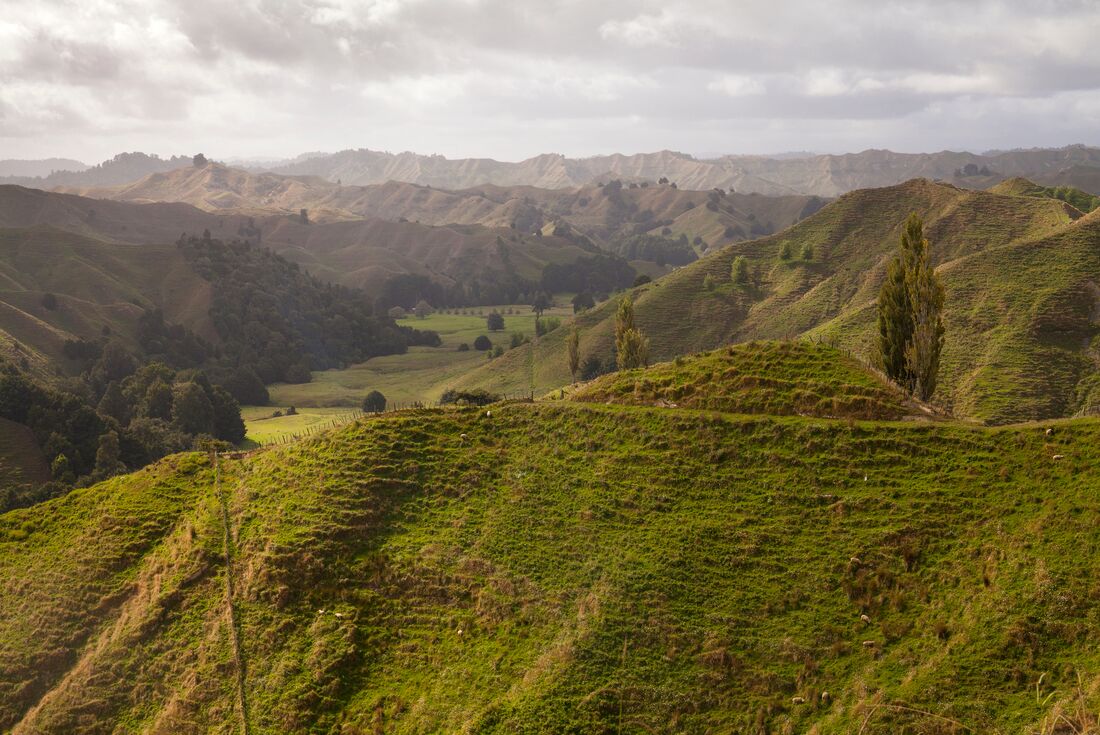 Lush green mountain views along rh Forgotten World Highway, New Zealand