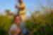 Botswana Okavango Experience