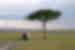 Peregrine Adventures kenya masai mara safari vehicle landscape
