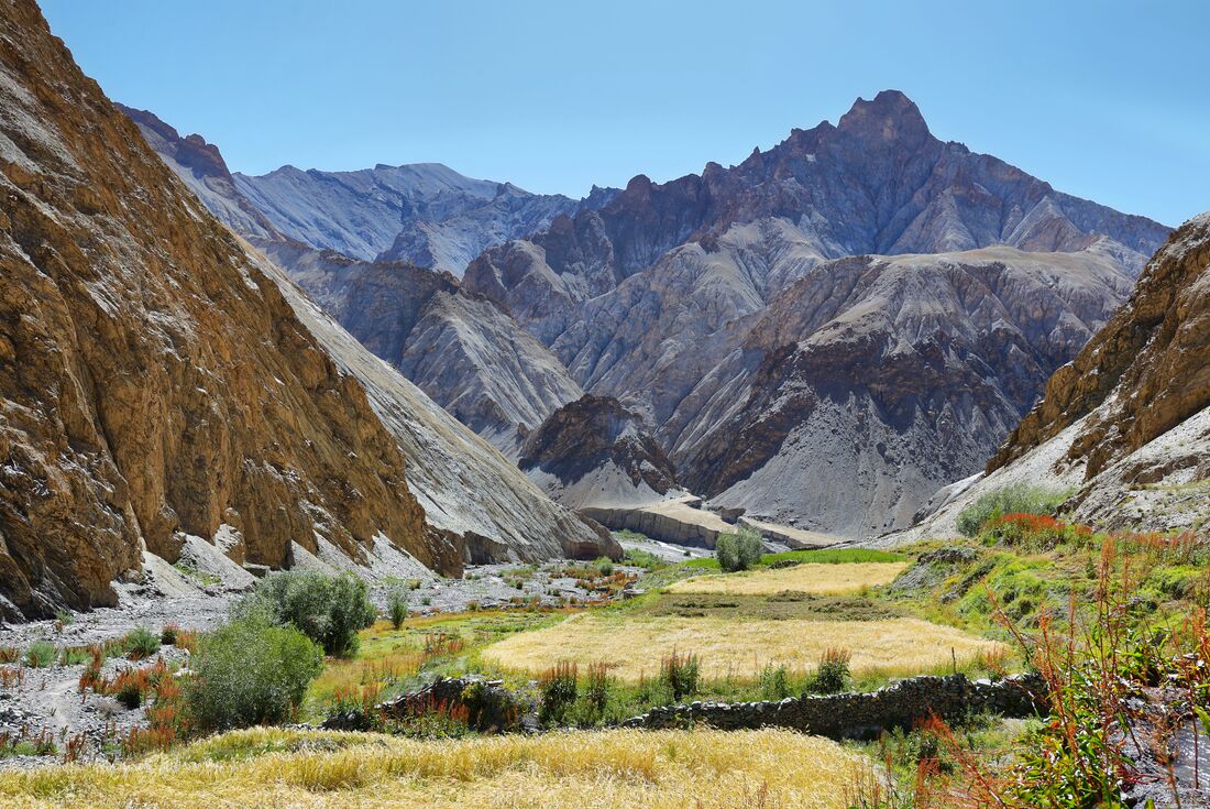 India: Trekking in Ladakh Intrepid Travel EU
