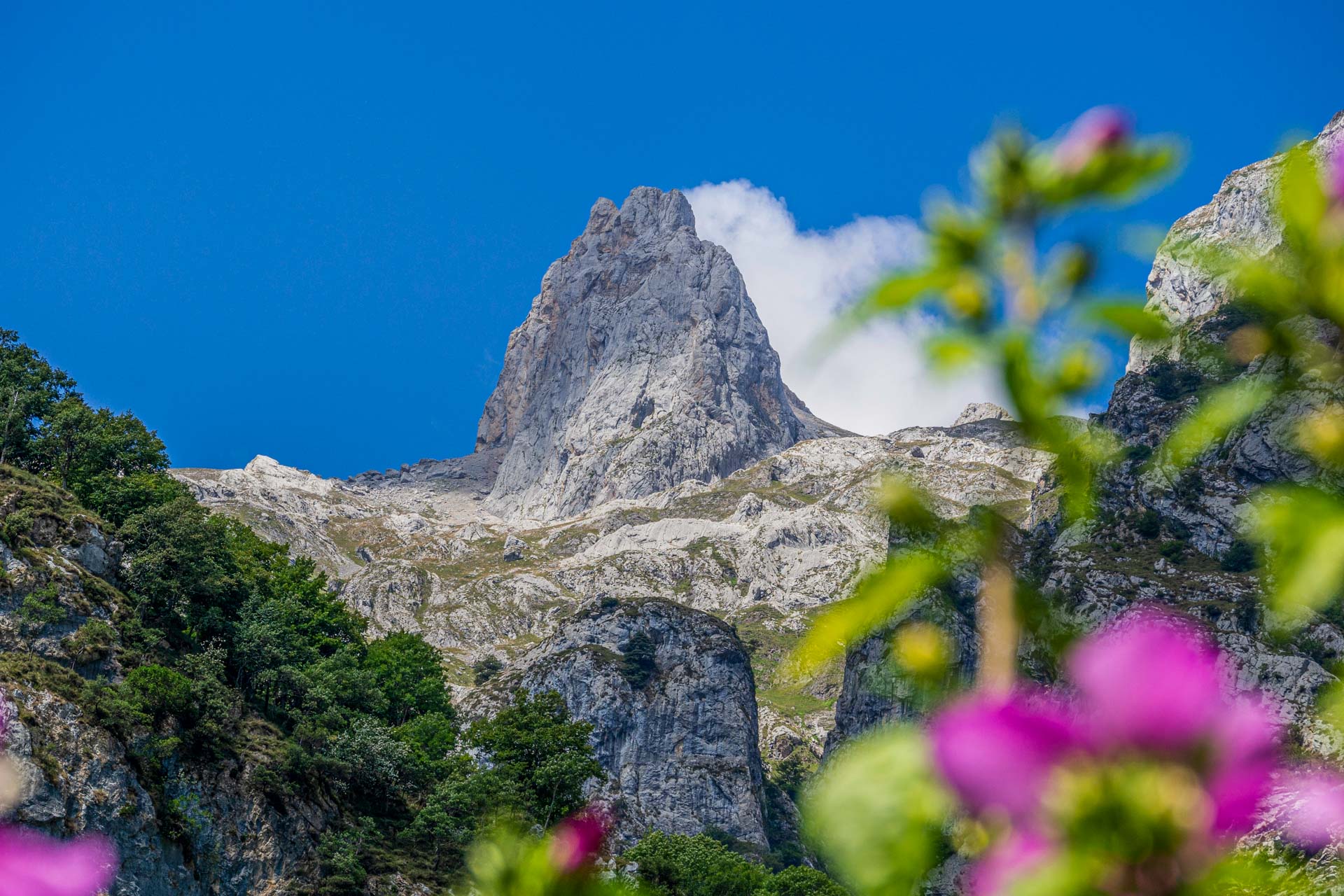 View of Picu Urriellu from Caín de Valdeon