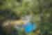 PHSW - View of Oparara River